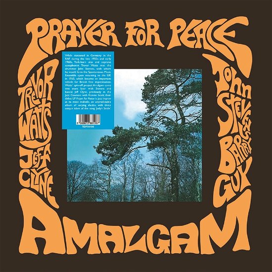 Cover for Amalgam · Prayer For Peace (LP) (2023)