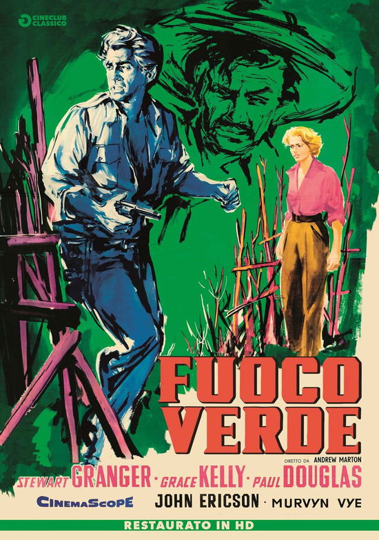 Cover for Fuoco Verde (Restaurato in Hd) (DVD) (2019)