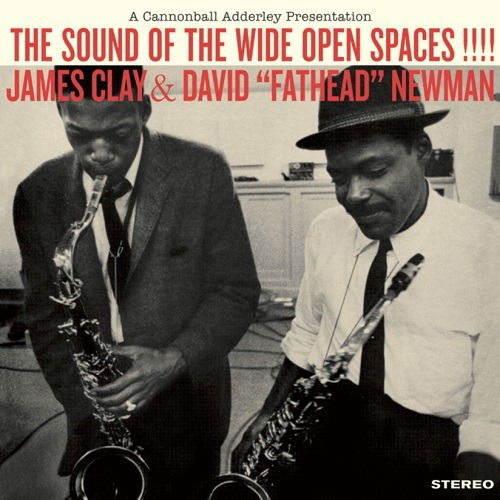 Cover for Clay, James &amp; David 'fathead' Newman · Sound Of The Wide Open Spaces (LP) (2022)