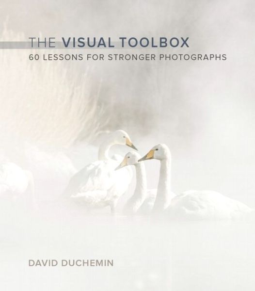 Cover for David Duchemin · The Visual Toolbox: 60 Lessons for Stronger Photographs (Paperback Book) (2015)