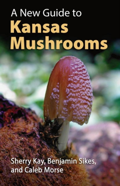 Cover for Sherry Kay · A New Guide to Kansas Mushrooms (Paperback Book) (2022)