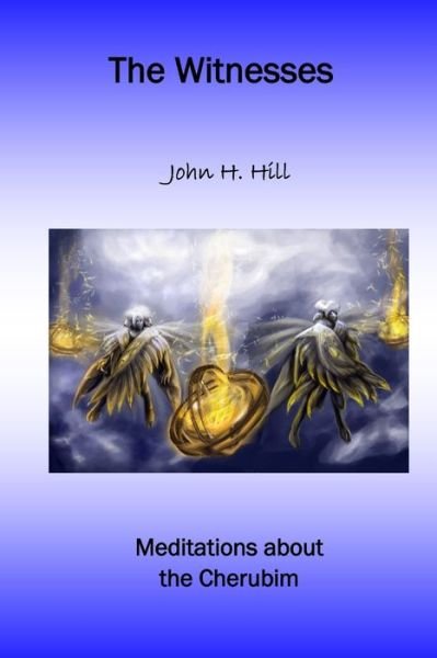 Cover for John Hill · Witnesses (Buch) (2016)