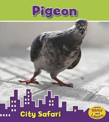 Cover for Isabel Thomas · Pigeon: City Safari (Hardcover Book) (2014)