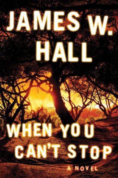 Cover for James W. Hall · When You Can't Stop - Harper McDaniel (Paperback Bog) (2018)