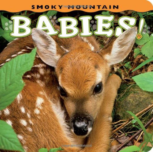 Cover for Jessica Solberg · Smoky Mountain Babies! (Babies! (Farcountry Press)) (Board book) [First edition] (2011)