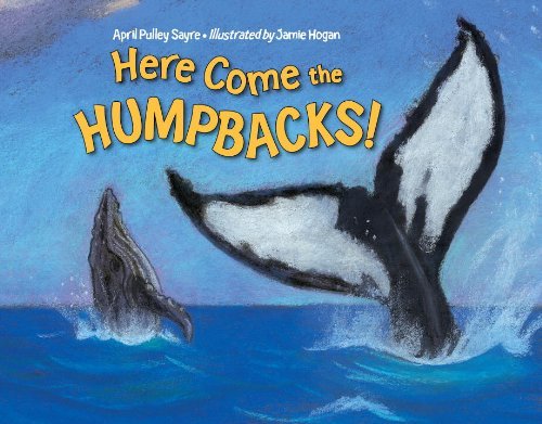 Cover for April Pulley Sayre · Here Come the Humpbacks (Paperback Book) (2013)