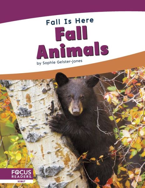 Cover for Sophie Geister-Jones · Fall Animals - Fall Is Here (Paperback Book) (2020)