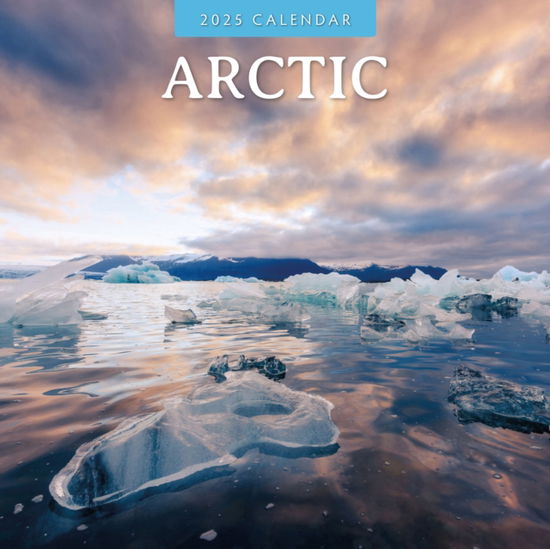 Cover for Red Robin · Arctic 2025 Square Wall Calendar (Paperback Book) (2024)