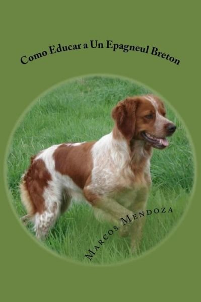 Cover for Marcos Mendoza · Como Educar a Un Epagneul Breton (Paperback Book) (2017)