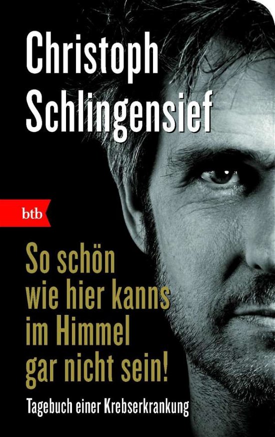 Cover for Christoph Schlingensief · Btb.74506 Schlingensief.so Schön Wie Hi (Bog)