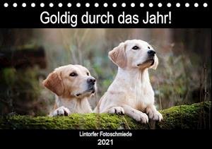 Cover for Bohlmann · Goldig durch das Jahr! (Tischk (Book)