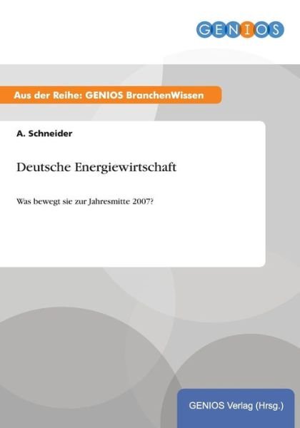 Cover for A Schneider · Deutsche Energiewirtschaft (Paperback Book) (2015)
