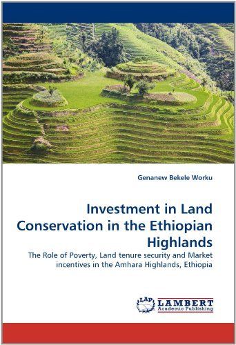 Cover for Genanew Bekele Worku · Investment in Land Conservation in the Ethiopian Highlands: the Role of Poverty, Land Tenure Security and Market Incentives in the Amhara Highlands, Ethiopia (Paperback Book) (2011)