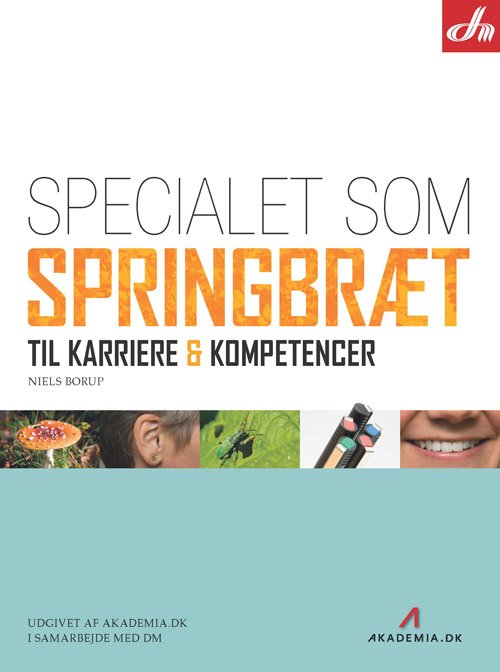 Specialet som springbræt til karriere & kompetencer - Niels Borup - Livros - Akademia.dk i samarbejde med DM - 9788764800067 - 27 de novembro de 2008