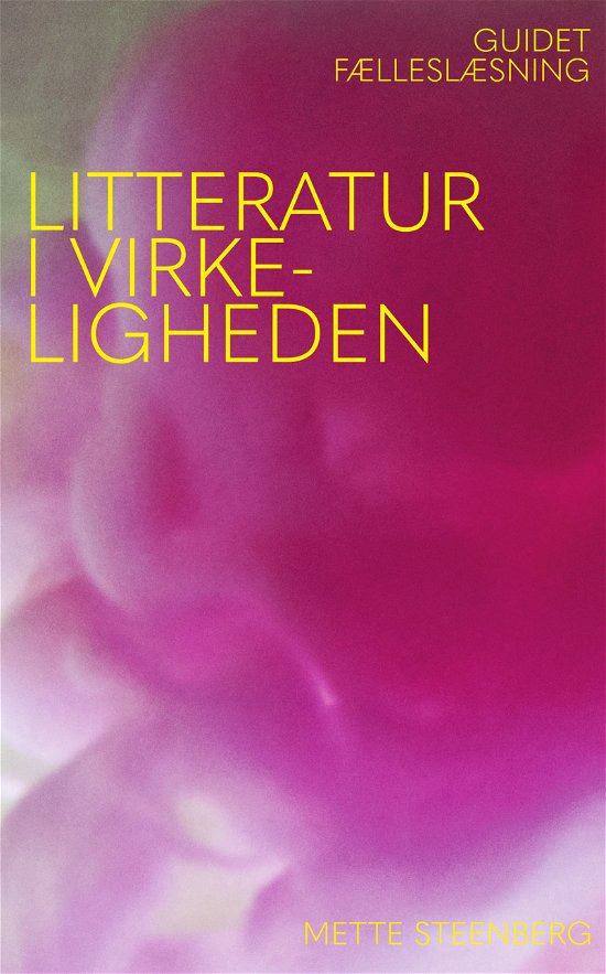 Helene Forsberg-Madsen og Anne Line Dalgård Mette Steenberg · Litteratur i virkeligheden (Hæftet bog) [1. udgave] (2024)
