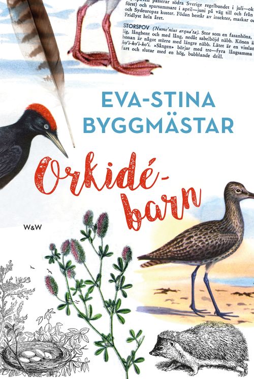 Cover for Eva-Stina Byggmästar · Orkidébarn (Hardcover Book) (2018)