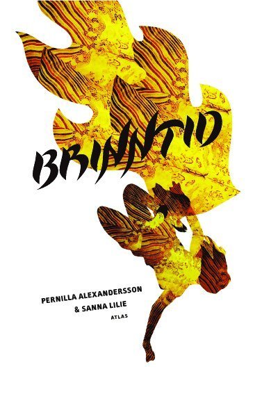 Cover for Sanna Lilie · Brinntid (Book) (2012)