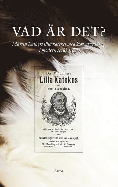 Cover for Martin Luther · Vad är det? : Martin Luthers lilla katekes med kort utveckling i modern språkdräkt (Book) (2019)