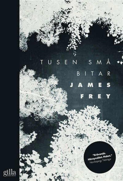 Cover for James Frey · Tusen små bitar (ePUB) (2013)