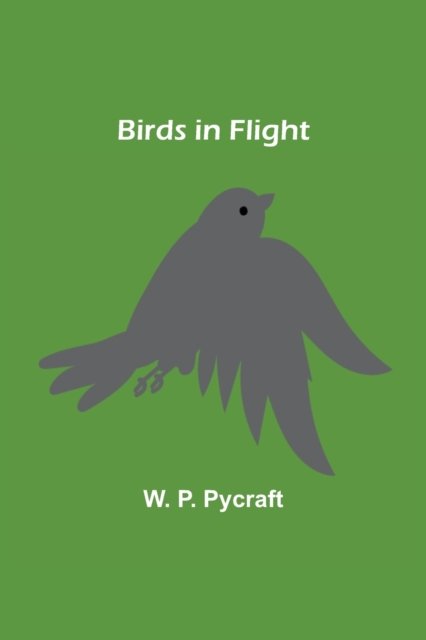 Cover for W P Pycraft · Birds in Flight (Paperback Book) (2021)