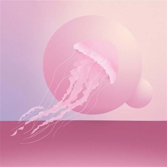 Cover for Fugleflugten · Æon (LP) (2020)