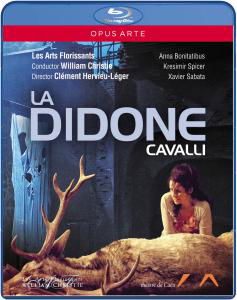 Cavallila Didone - Cavalli - Film - OPUS ARTE - 0809478071068 - 10. september 2012