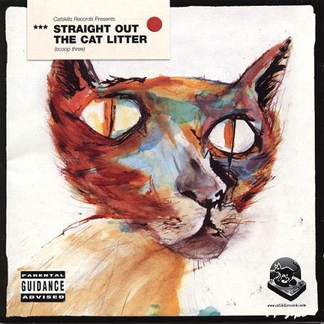 Straight Out The Cat Litter - V/A - Musikk - CATSKILLS - 5037454707068 - 21. oktober 2019