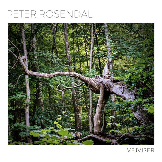 Cover for Peter Rosendal · Vejviser (LP) (2023)