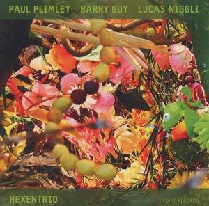 Cover for Plimley / Guy / Niggli · Hexentrio (CD) (2017)