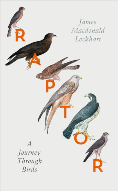 Cover for James Macdonald Lockhart · Raptor (Hardcover bog) (2016)