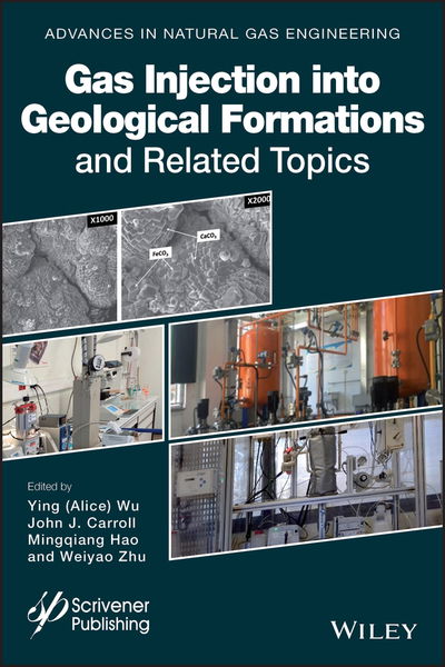 Cover for A Wu · Gas Injection into Geological Formations and Related Topics (Hardcover Book) [Volume 8 edition] (2020)