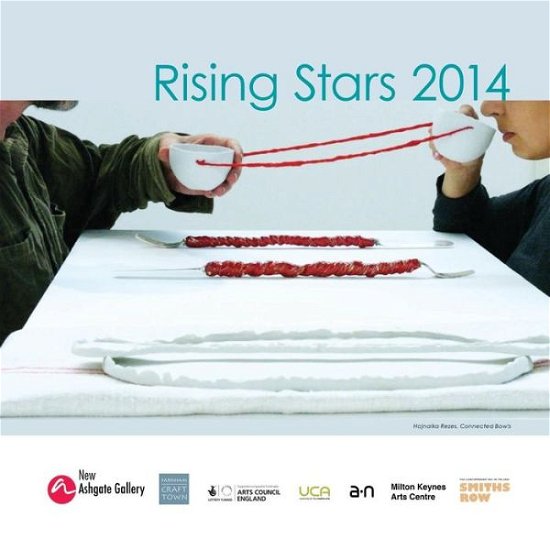 Cover for New Ashgate Gallery · Rising Stars 2014 (Pocketbok) (2014)
