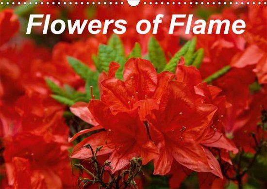 Cover for Knowles · Flowers of Flame (Wall Calendar (Book)