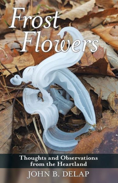 Cover for John B Delap · Frost Flowers (Paperback Book) (2019)