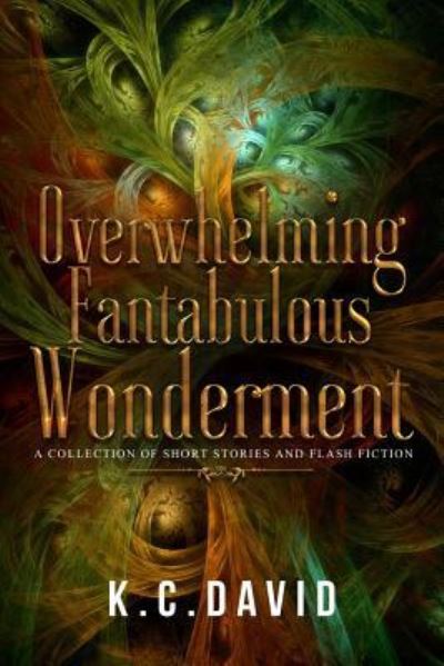 Cover for K C David · Overwhelming Fantabulous Wonderment (Taschenbuch) (2016)