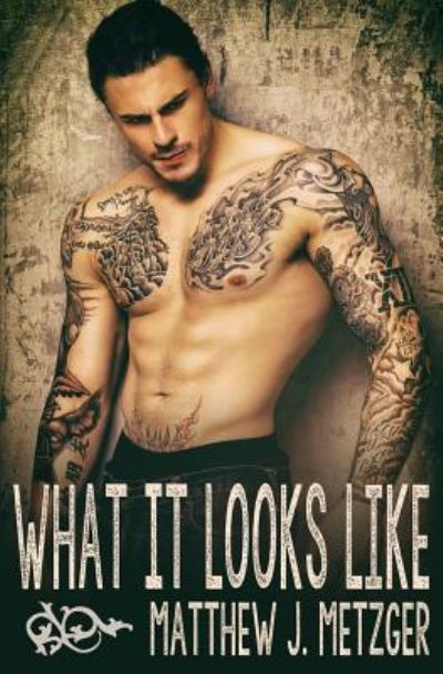 Cover for Matthew J Metzger · What It Looks Like (Paperback Book) (2016)