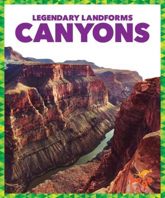 Cover for Rebecca Pettiford · Canyons (Hardcover Book) (2017)