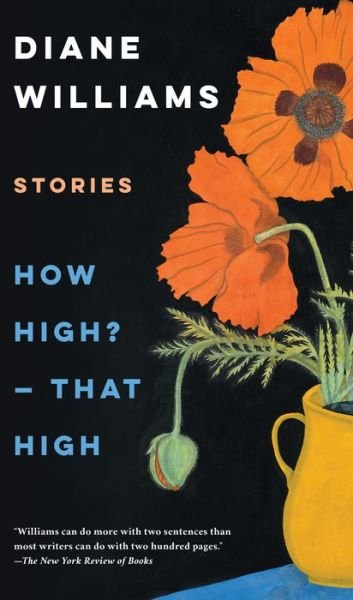 Cover for Diane Williams · How High? That High (Hardcover Book) (2021)