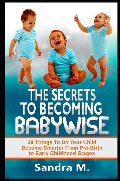 The Secrets to Becoming Babywise - Sandra M - Boeken - Independently Published - 9781728752068 - 13 oktober 2018