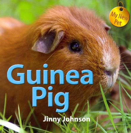 Cover for Jinny Johnson · Guinea Pig (My New Pet) (Paperback Book) (2013)