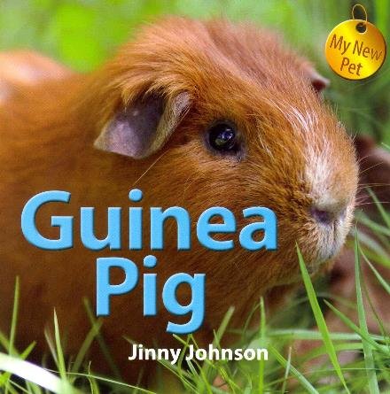 Cover for Jinny Johnson · Guinea Pig (My New Pet) (Paperback Bog) (2013)