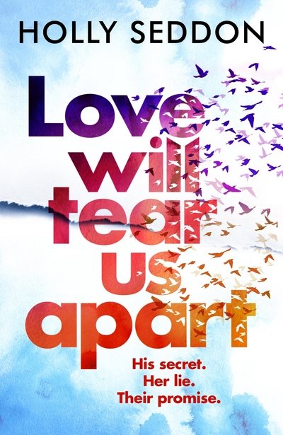 Cover for Holly Seddon · Love Will Tear Us Apart (Paperback Book) (2018)