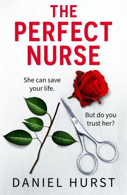 Cover for Daniel Hurst · The Perfect Nurse: A totally addictive and unputdownable psychological thriller (Paperback Book) (2025)