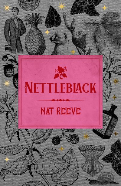 Cover for Nat Reeve · Nettleblack (Paperback Book) (2022)