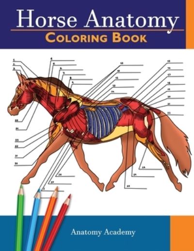 Cover for Anatomy Academy · Horse Anatomy (Paperback Book) (2020)