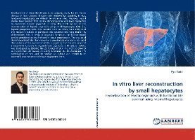 Cover for Sudo · In vitro liver reconstruction by s (Book)