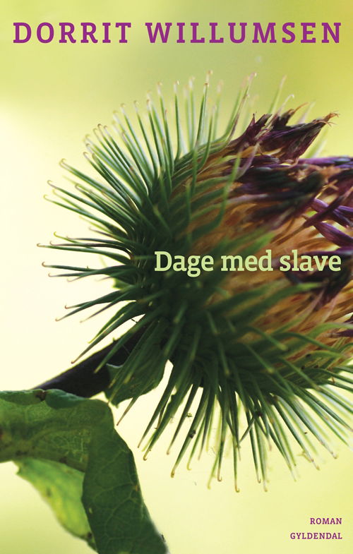 Cover for Dorrit Willumsen · Dage med slave (Sewn Spine Book) [1er édition] (2008)