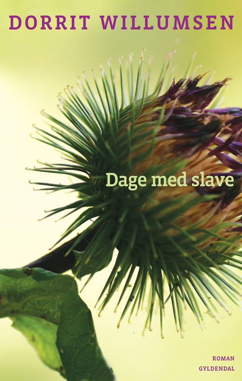 Cover for Dorrit Willumsen · Dage med slave (Hæftet bog) [1. udgave] (2008)
