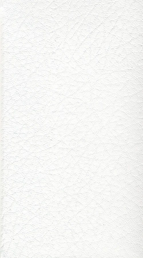 Cover for Den grønlandske salmebog (Hardcover Book) [1st edition] [Kunstskind] (2008)