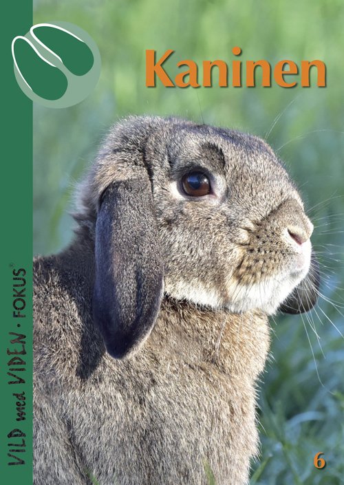 Cover for Pernille Willert Hansen · Vild med Viden FOKUS, Serie 1 Danske husdyr: Kaninen (Sewn Spine Book) (2018)